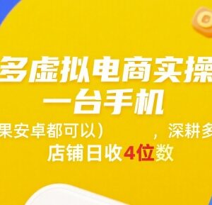 拼多多虚拟电商实操运营方法 仅需手机即可上手新手也能盈利-雨叶虚拟资源网