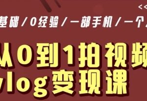 零基础Vlog拍摄变现系统课 单人手机操作每天5分钟月入过万-雨叶虚拟资源网