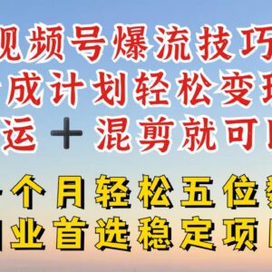 2024视频号高收益分成赛道 搬运混剪做原创及小红书爆流技巧-雨叶虚拟资源网