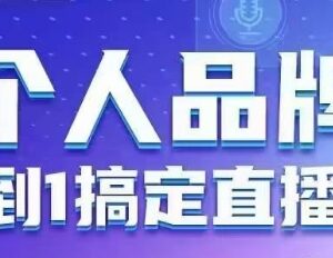 个人品牌直播从0到1实操指南 六大板块帮你放大个人影响力-雨叶虚拟资源网