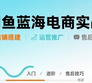 闲鱼蓝海电商实操教程 店铺搭建运营售后全流程详解-雨叶虚拟资源网
