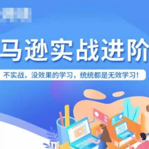 实战型亚马逊FBA运营进阶课 涵盖选品广告运营全流程实操-雨叶虚拟资源网