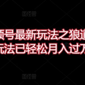 微信视频号狼道内容玩法详解 实操落地可实现月入过万-雨叶虚拟资源网