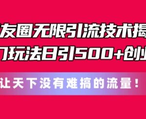 朋友圈冷门付费引流玩法分享 低成本撬动500+精准创业粉实操教程-雨叶虚拟资源网