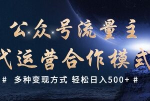 公众号流量主代运营项目揭秘 正规流量收益多变现方式实操指南-雨叶虚拟资源网