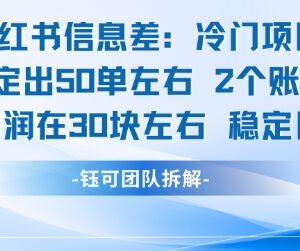 小红书冷门信息差项目实操 单客利润30元双账号日入1.5k左右-雨叶虚拟资源网