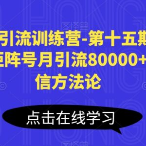 第十五期小红书引流训练营 矩阵号月引流8万到微信实操方法-雨叶虚拟资源网