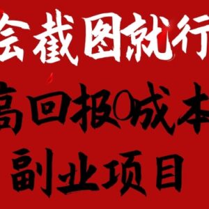 零成本卖离婚协议书模板副业攻略 无需技能单日营收超千元-雨叶虚拟资源网