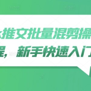 TikTok推文批量混剪操作教程 新手零基础快速入门全指南-雨叶虚拟资源网