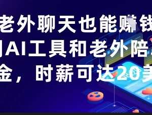 零门槛副业赚钱方法：利用AI工具陪老外聊天时薪可达20美金-雨叶虚拟资源网