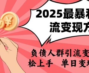 2025年面向负债人群的引流变现项目 小白零经验易上手可日入千元-雨叶虚拟资源网