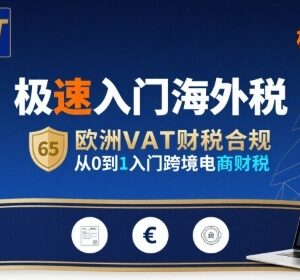 跨境电商海外税零基础入门 欧洲VAT财税合规实操全指南-雨叶虚拟资源网