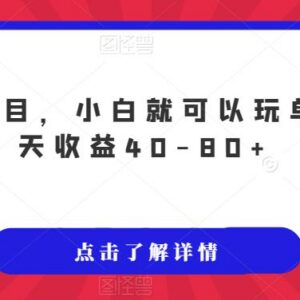 适合零经验小白操作的低门槛单机副业 单日收益40-80元玩法揭秘-雨叶虚拟资源网