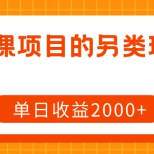 网课项目低门槛另类实操玩法拆解 单人单日可实现2000+收益-雨叶虚拟资源网