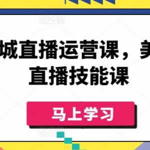 美业实体同城直播运营技能课 从入门到实操全流程教学-雨叶虚拟资源网