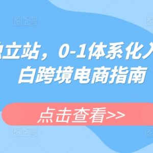 跨境独立站0-1体系化入门指南 小白跨境电商实操教程-雨叶虚拟资源网
