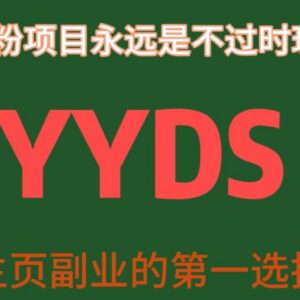 男粉创业项目全流程玩法拆解 长期可做的主业副业选择-雨叶虚拟资源网