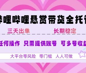 B站悬赏带货全托管玩法详解 无基础可上手的稳定副业项目-雨叶虚拟资源网