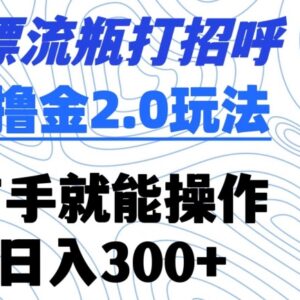 漂流瓶打招呼撸金2.0玩法详解 零门槛操作单日收益可达300+-雨叶虚拟资源网