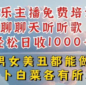 零门槛娱乐主播实操教程 零基础开播轻松实现日入千元-雨叶虚拟资源网