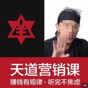 天道老阮天道营销课 掌握赚钱底层规律缓解创业焦虑-雨叶虚拟资源网