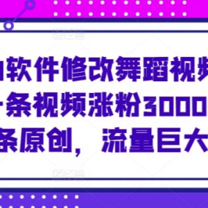用AI修改舞蹈视频发视频号涨粉变现 新手易上手的实操玩法-雨叶虚拟资源网
