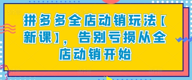 拼多多全店动销玩法新课 从逻辑到实操告别店铺运营亏损