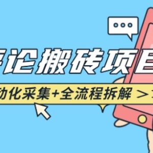 悟空采集评论搬砖完整操作攻略 附自动采集插件使用方法-雨叶虚拟资源网