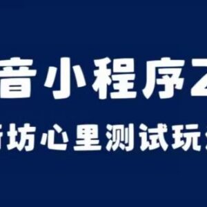 抖音小程序2.0街坊心理测试玩法 操作及变现逻辑全拆解-雨叶虚拟资源网