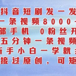 抖音短剧搬运赚钱实操指南 0粉丝手机可操作新手一学就会-雨叶虚拟资源网