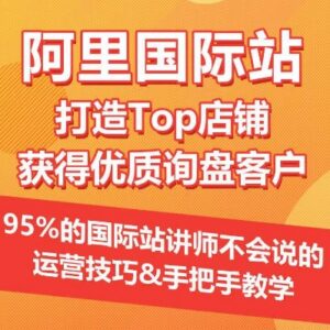 阿里国际站打造Top店铺 获取优质询盘全流程运营技巧指南-雨叶虚拟资源网
