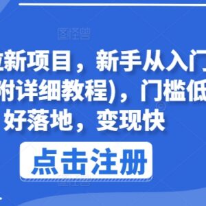 网盘拉新项目从入门到精通教程 低门槛新手易落地变现指南-雨叶虚拟资源网
