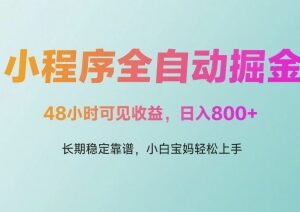 微信小程序全自动掘金项目 零基础上手可获长期稳定收益-雨叶虚拟资源网