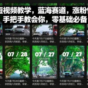 零基础情感短视频运营教学 热门赛道涨粉变现方法详解-雨叶虚拟资源网
