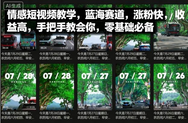 零基础情感短视频运营教学 热门赛道涨粉变现方法详解