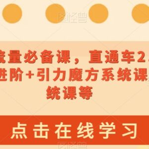 2023淘系流量运营必备课 直通车引力魔方万象台全阶实操课程-雨叶虚拟资源网