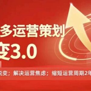 2024-2025拼多多运营策略3.0 0基础从0到1实操避坑指南-雨叶虚拟资源网