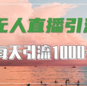 抖音快手视频号通用无人直播玩法 精准引流创业粉实操指南-雨叶虚拟资源网