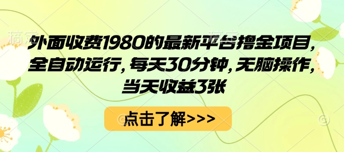市面售价1980全自动平台撸金项目 每日30分钟操作当天可获收益