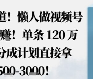 零成本视频号分成计划赚钱项目 无需拍剪适合小白懒人操作-雨叶虚拟资源网