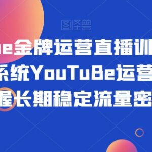 全模块YouTube运营实操教学 从0到1掌握平台流量获取技巧-雨叶虚拟资源网