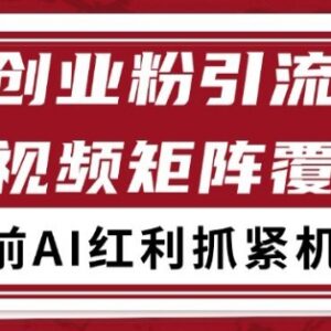小红书抖音创业赛道引流获客方法 自热矩阵日引200+实操拆解-雨叶虚拟资源网