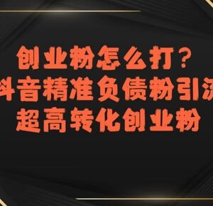 抖音创业粉引流实操攻略 精准获取高转化负债粉操作方法-雨叶虚拟资源网