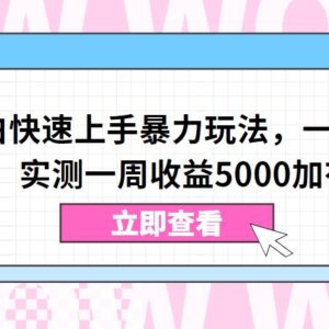 视频号小白零基础可上手暴力玩法 实测一周收益超5000元-雨叶虚拟资源网
