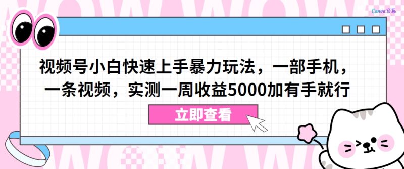 视频号小白零基础可上手暴力玩法 实测一周收益超5000元
