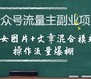 公众号流量主副业实操指南 美女图文混排玩法全解析-雨叶虚拟资源网