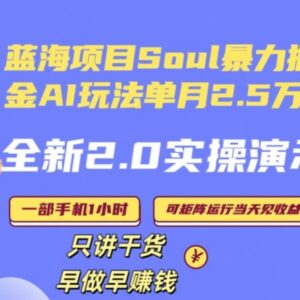 2024年Soul 2.0 AI掘金低门槛实操玩法 单月变现25000+小白易上手-雨叶虚拟资源网