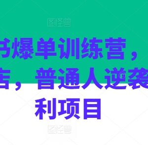小红书爆单训练营全流程教程 普通人开店掘金电商红利指南-雨叶虚拟资源网