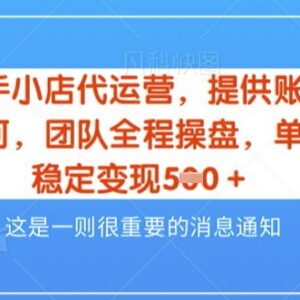 快手小店代运营3.0新模式解析 无需出镜零门槛合作五五分成稳获佣-雨叶虚拟资源网