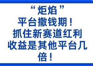 炬焰新平台红利期实操方法 低门槛二创即可获多倍平台收益-雨叶虚拟资源网